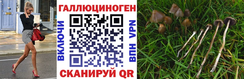 Псилоцибиновые грибы MAGIC MUSHROOMS Купить закладки Опочка